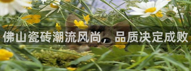 万事娱乐官网下载安卓