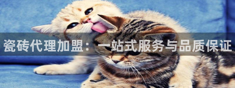 万事娱乐382223