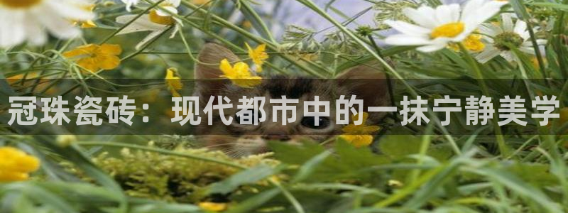 万事娱乐云端下载
