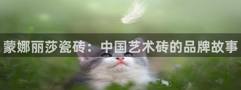 万事达娱乐到55 12