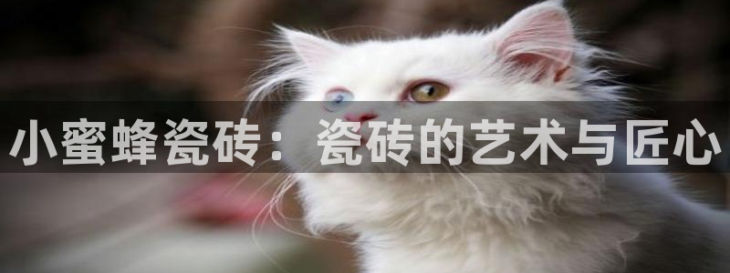 万事娱乐靠