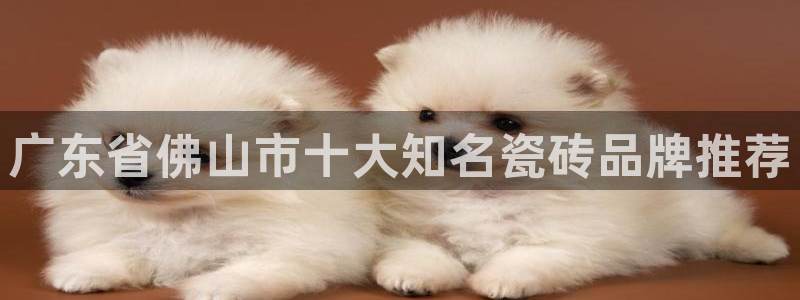 娱乐万事达