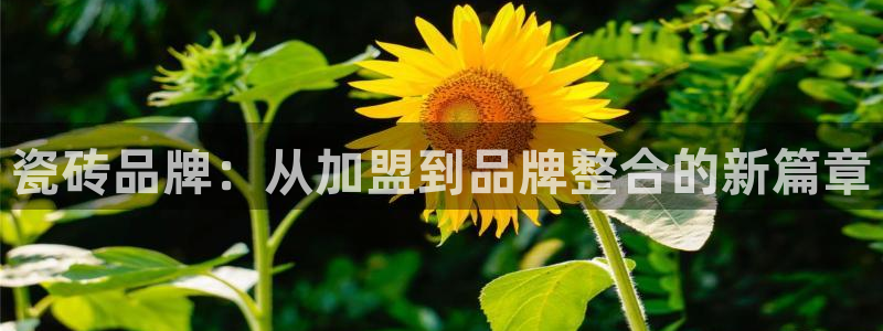 万事娱乐主管薪资待遇