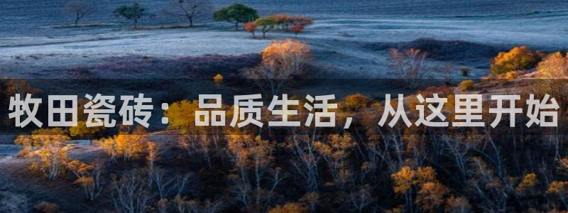 万事屋娱乐文化