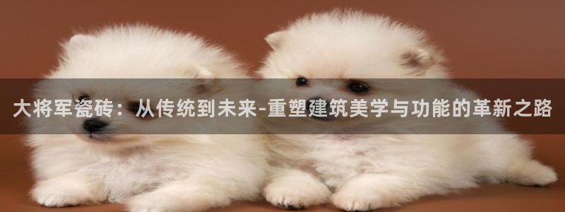 万事达娱乐 招商