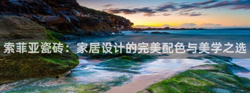 万事娱乐筘49403
