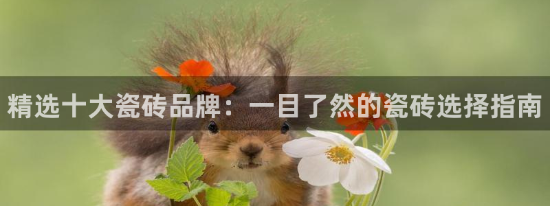 万事娱乐云端下载