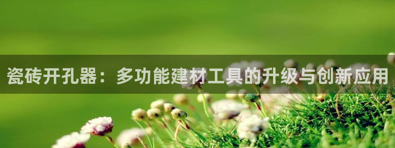 万事如意纯属娱乐