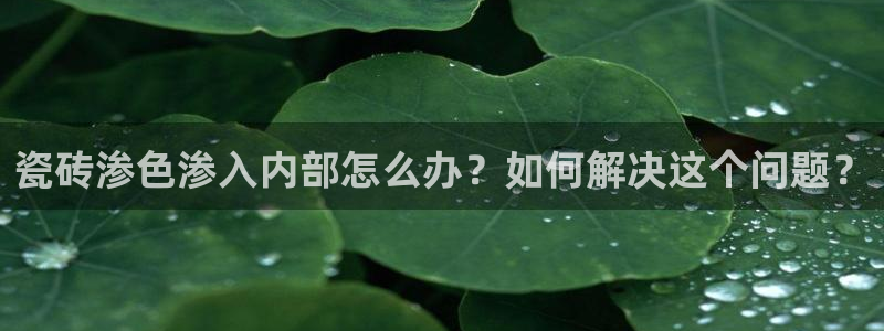 万事达娱乐连55312