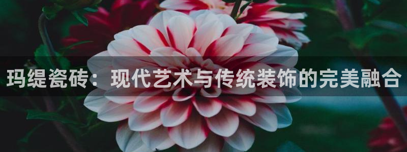 万事娱乐下载手机版