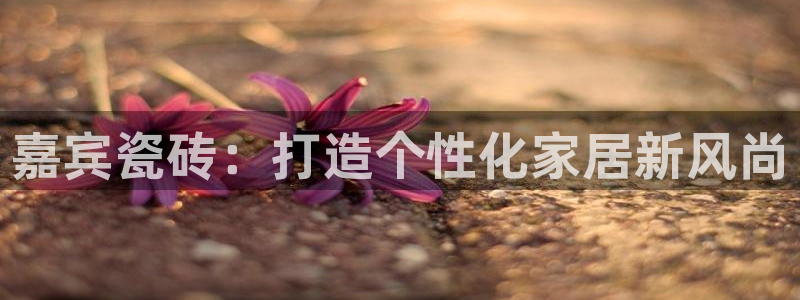 万事娱乐的介绍词