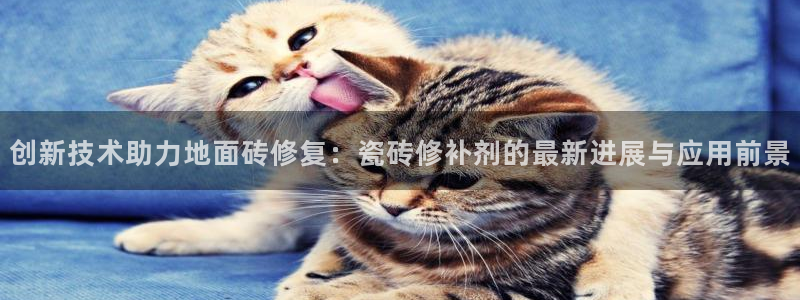 万事达娱乐连55312