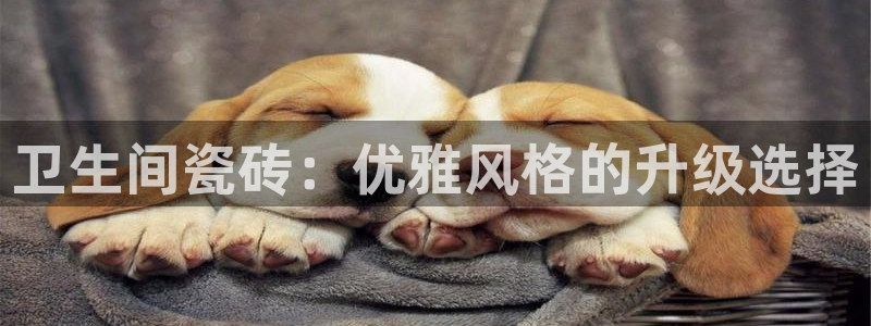 万事平台娱乐