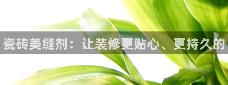 万事达娱乐经纪公司