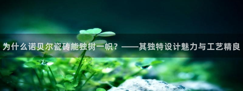 娱乐万事屋
