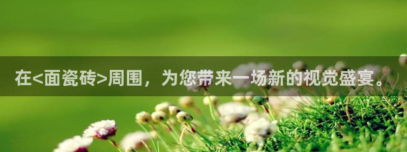 万事娱乐汇