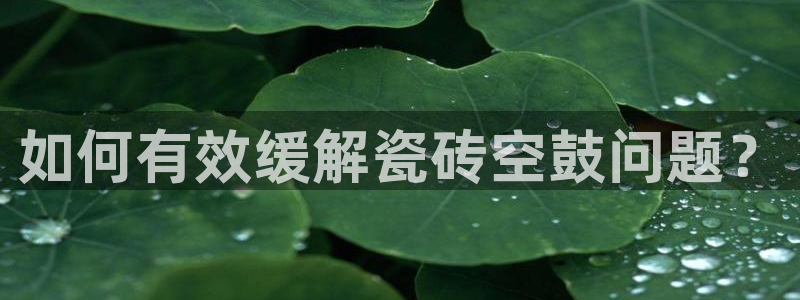 万事达大酒店娱乐