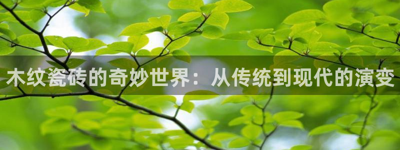 万事娱乐主管年薪