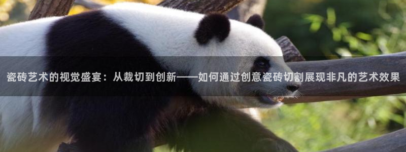万事通娱乐网最新消息