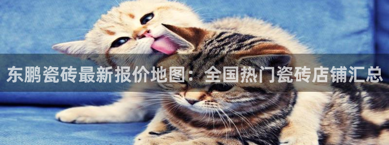 万事娱乐招商主管招聘