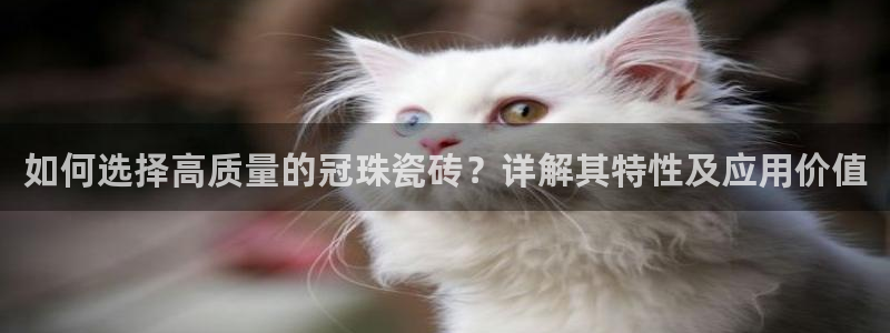 万事可娱乐