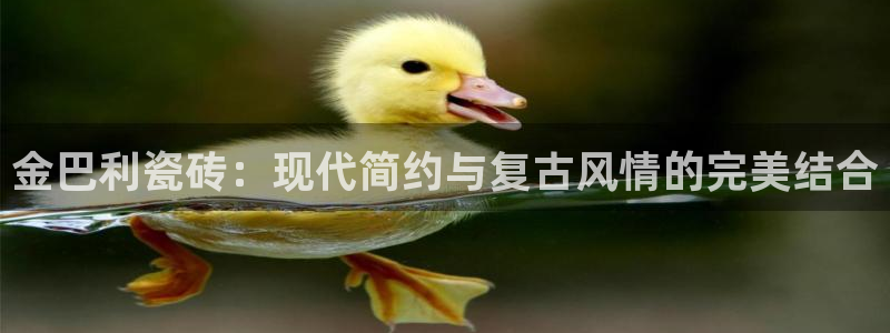 万事趣谈娱乐