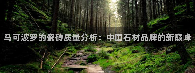 万事娱乐代理加盟