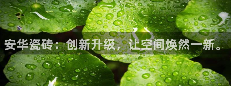 万事娱乐平台怎么样了啊