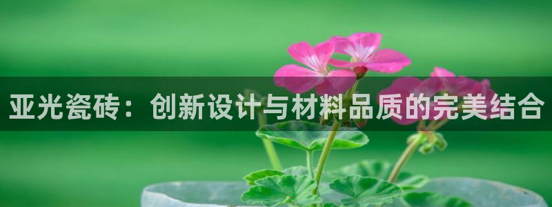 万事娱乐主管