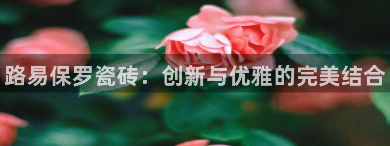 万事娱乐优七九九47