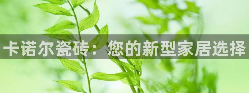 万事皆可娱乐的英语