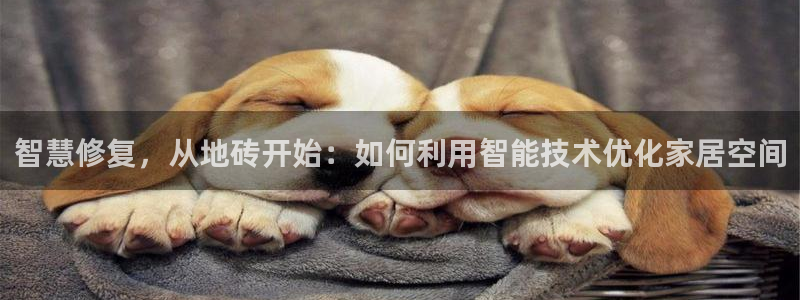 万事达娱乐首页