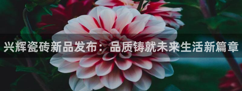 万事娱乐怎么分享会员