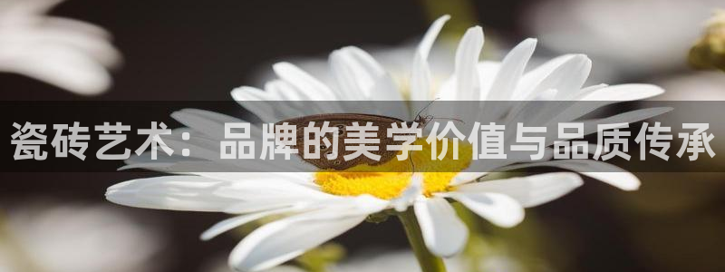 万事达娱乐到55 12