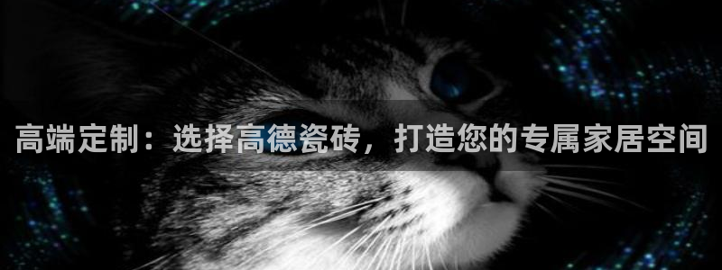 娱乐万事成