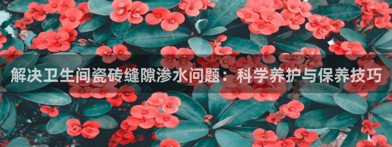 万事成物流娱乐宣传