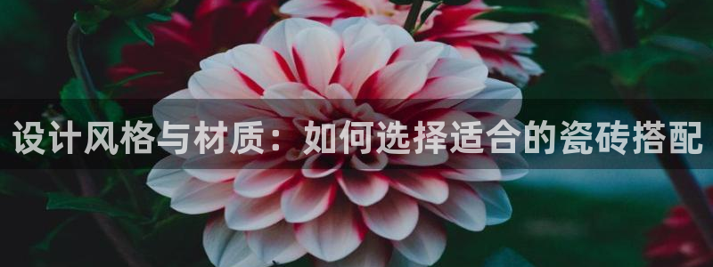 万事博线上娱乐