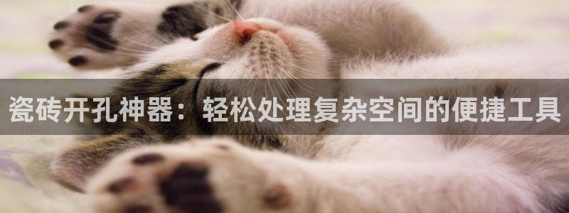 万事娱乐检测