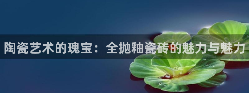 万事达娱乐 股东