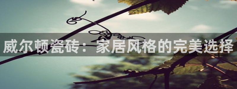 万事娱乐平台崩盘