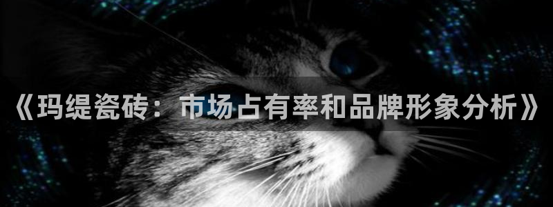 娱乐万事屋张宇