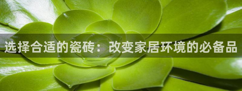 万事达大酒店娱乐