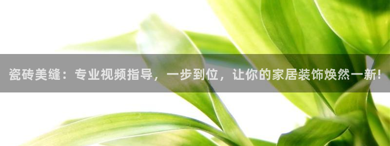 娱乐万事