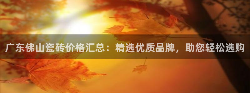 万事达娱乐筘55312