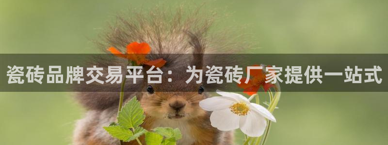 娱乐播放万事屋