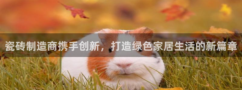 万事达娱乐设施