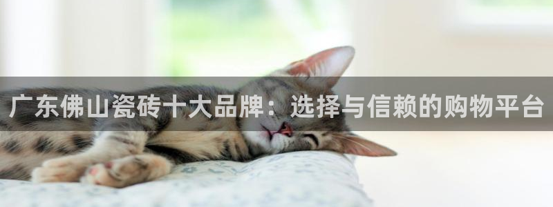 万事屋娱乐文化