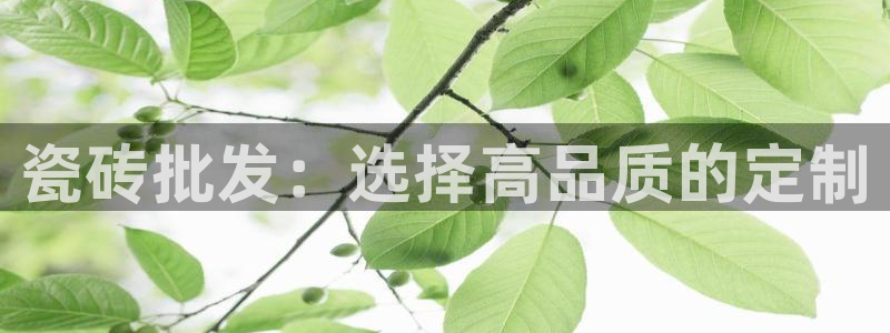 万事娱乐公司简介图片