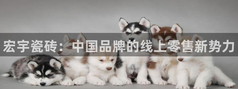 万事娱乐下载