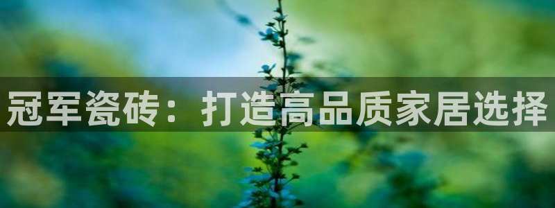 万事皆可娱乐
